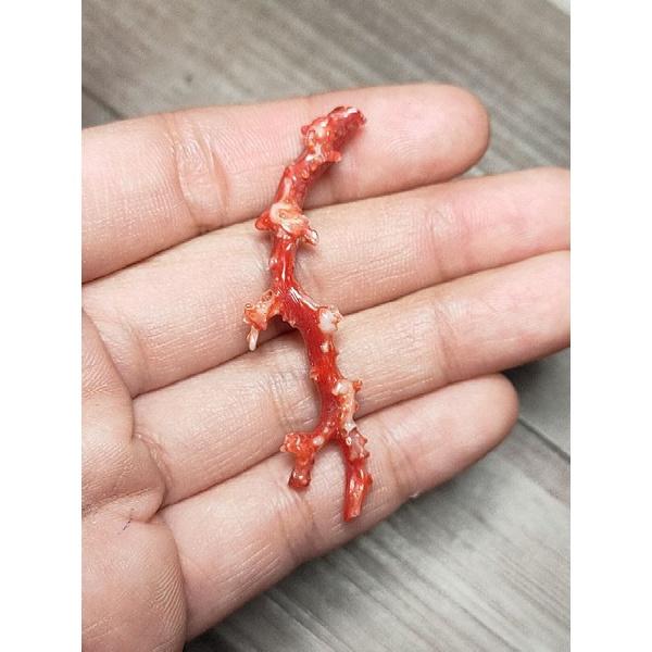 197- Đá San Hô Đỏ