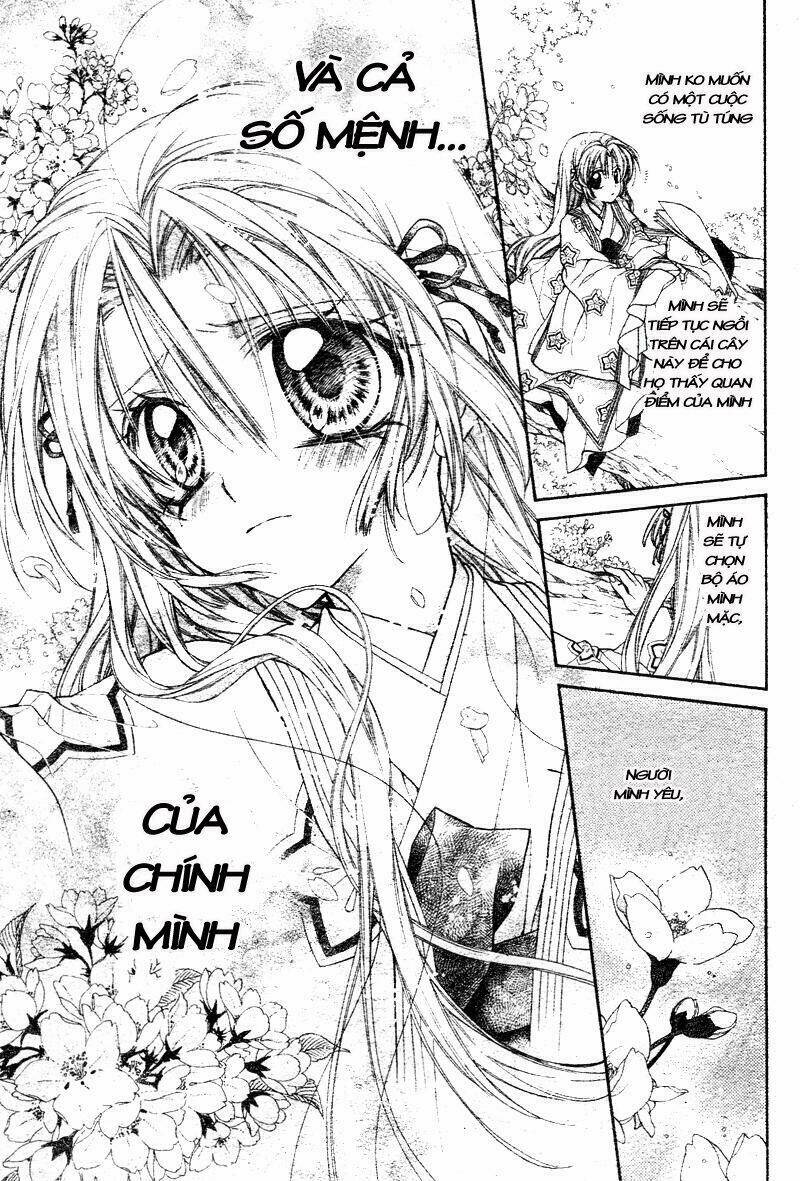 truyền thuyết công chúa hoa anh đào chapter 1 7