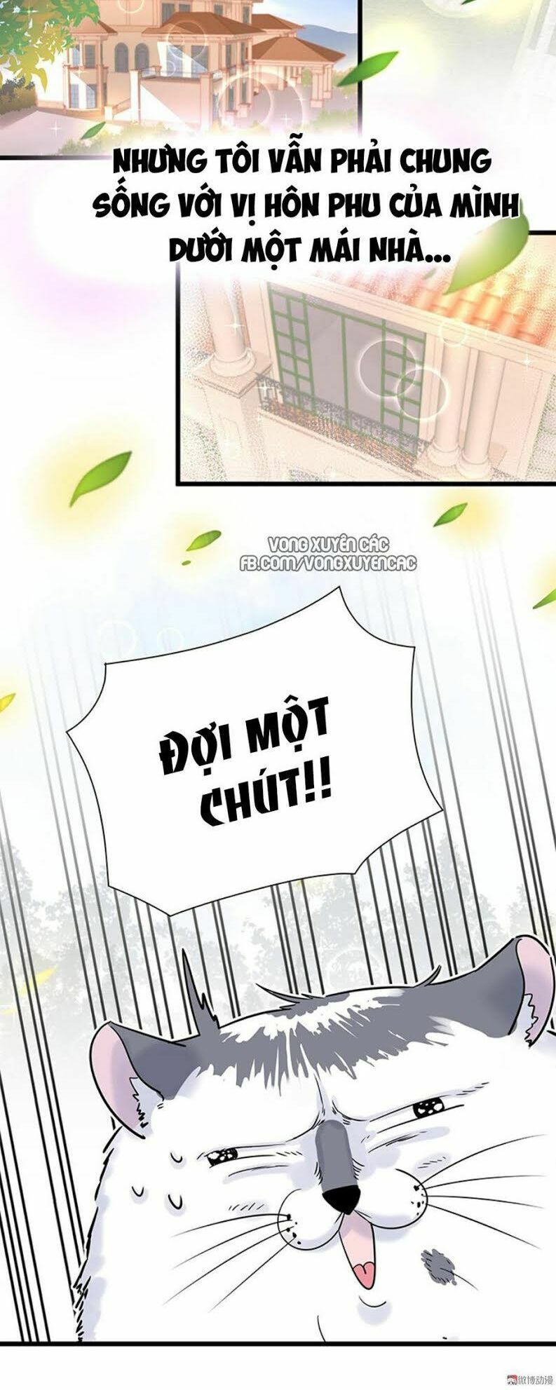 ứng cử viên hôn phu của ta chapter 1 7