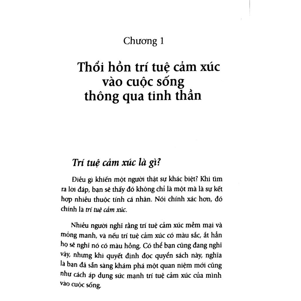 Giải Mã Trí Tuệ Cảm Xúc - Bản Quyền