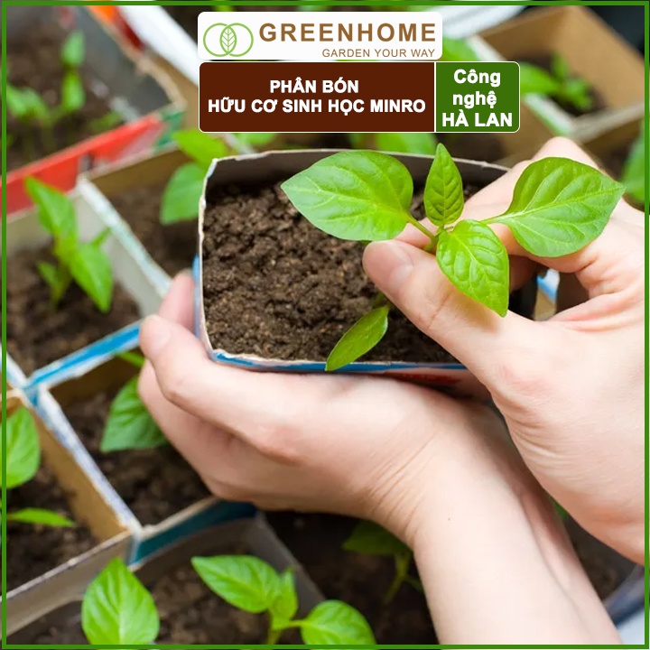 Phân Bón Hữu Cơ Greenhome, Minro, Bao 700g, Sinh Học Giúp Cây Khoẻ, Ổn Định, Sai Hoa, Đậu Trái Chuyên Hoa Hồng, Lan, Rau