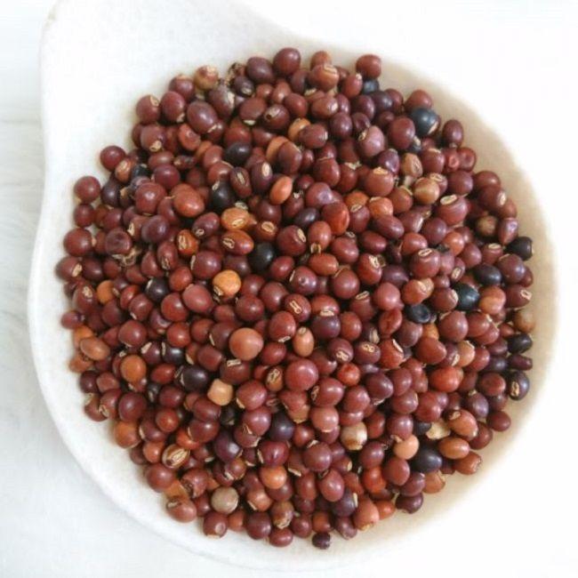 Hạt Giống đậu chiều, đậu săng, CT74- Gói 20gram