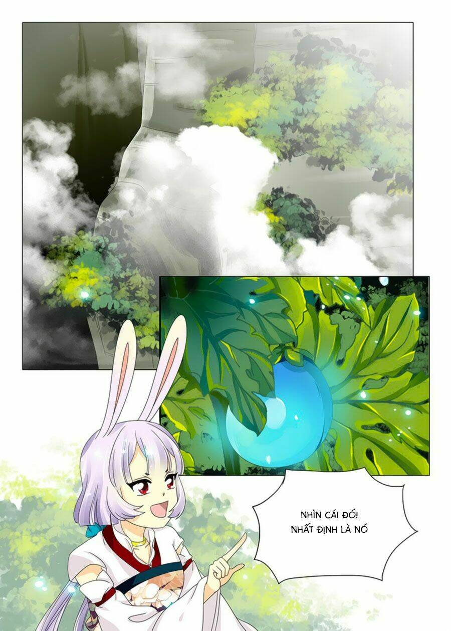 đống phù đã khai quang chapter 56 8