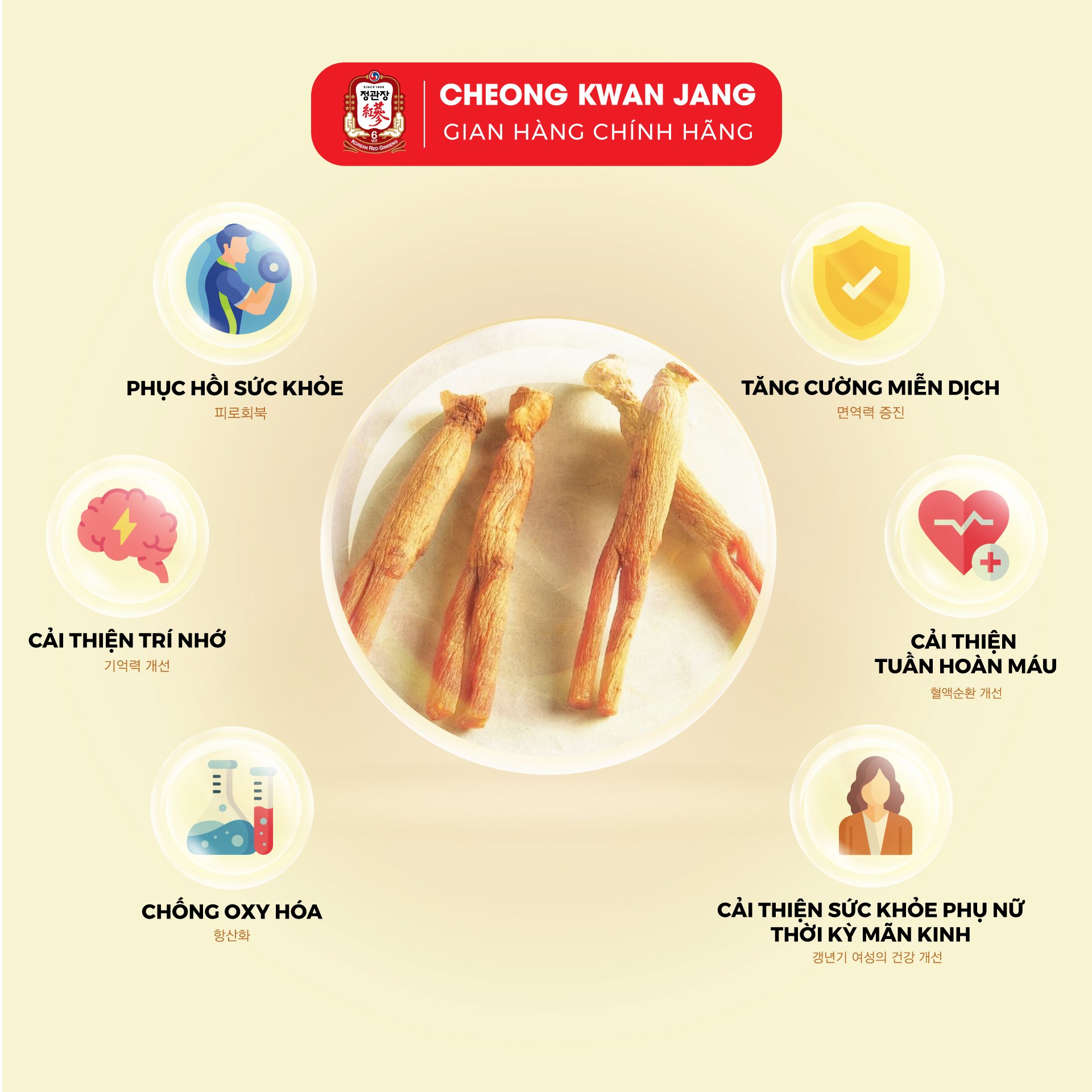 Cao Địa Sâm Hàn Quốc Thượng Hạng KGC Cheong Kwan Jang Extract Limited