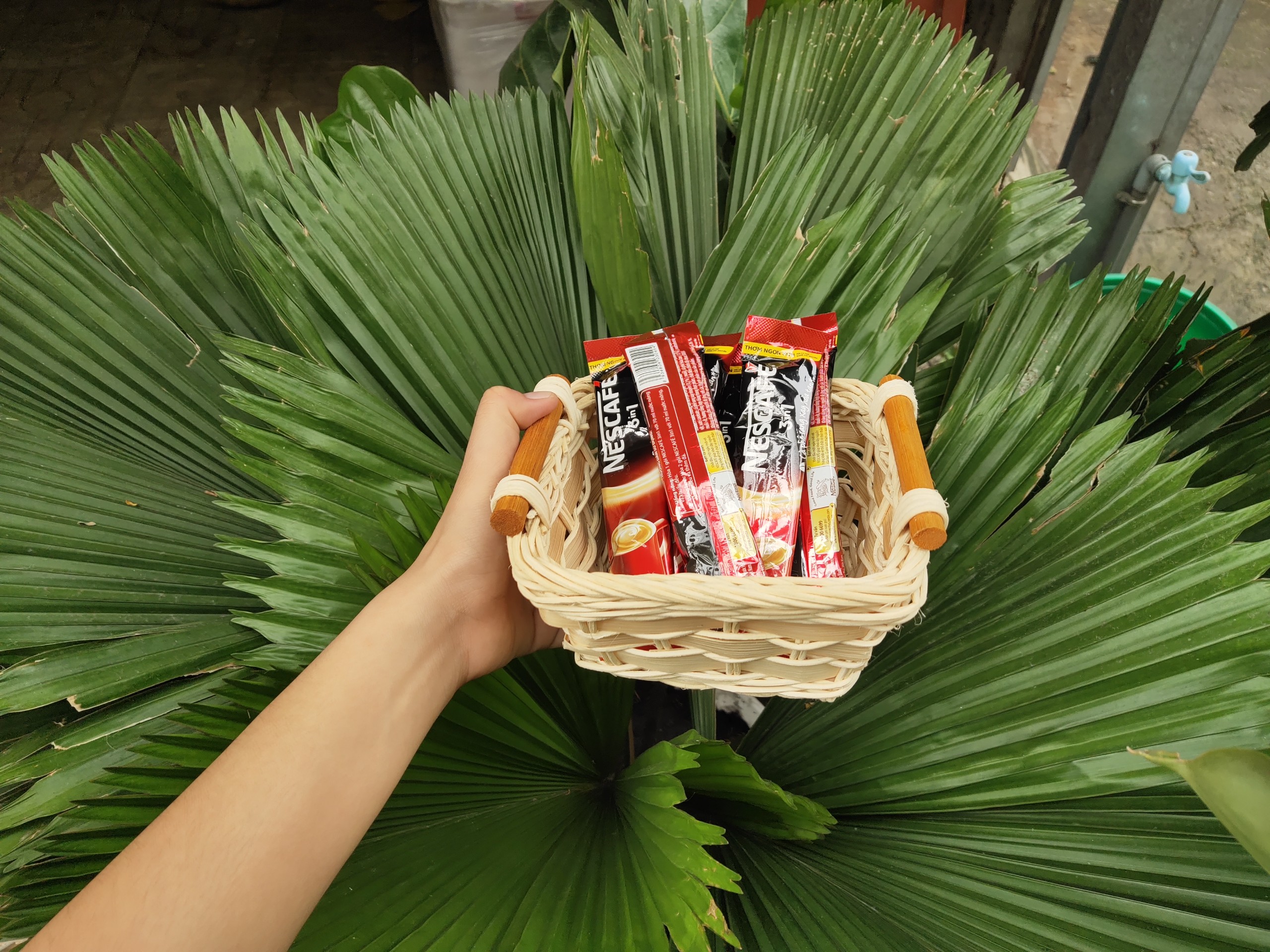 Rổ đựng chanh, tỏi, ớt, rá vuông