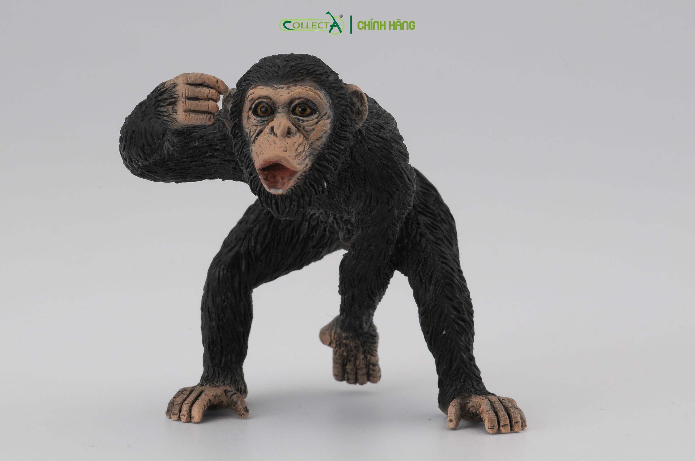 Mô hình thu nhỏ: Tinh Tinh bố - Chimpanzee Male, hiệu: CollectA, mã HS 9651031[88492] -  Chất liệu an toàn cho trẻ - Hàng chính hãng