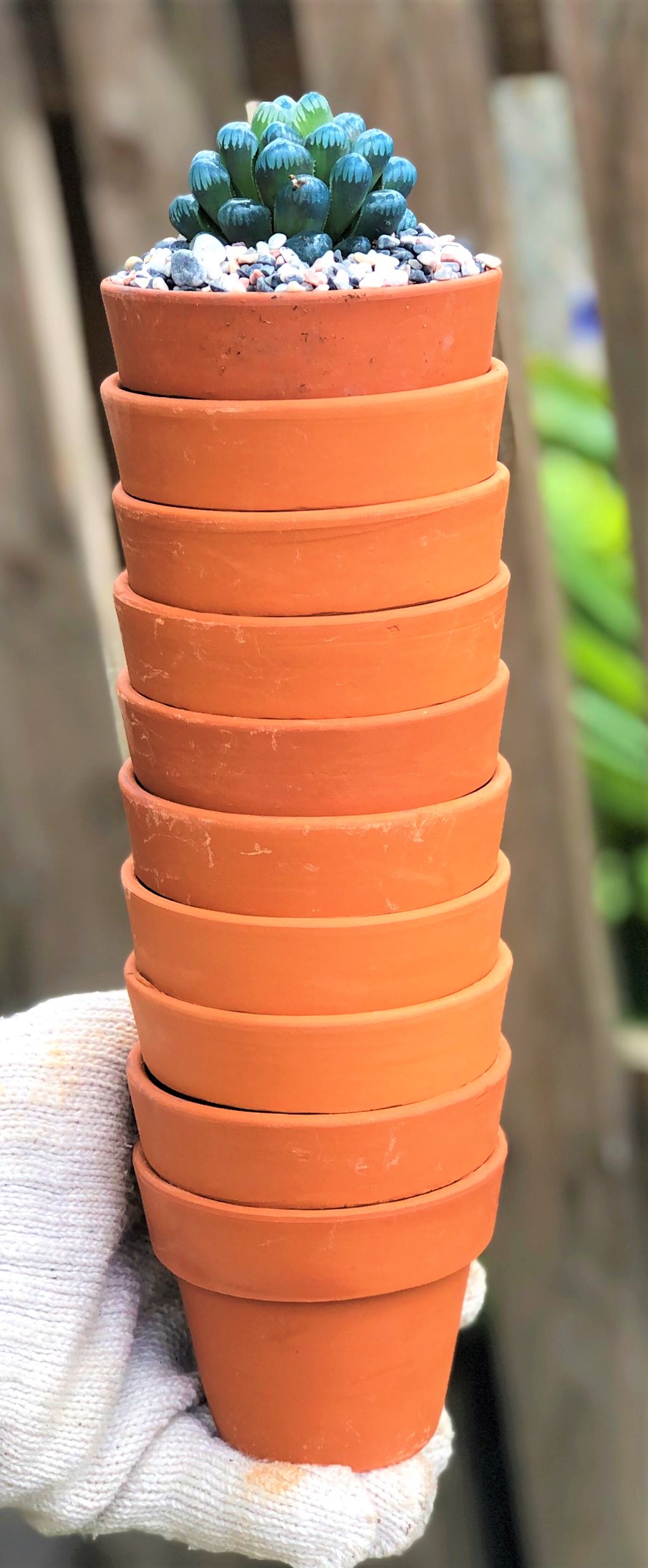 Bộ 10 chậu đất nung trồng xương rồng sen đá Rộng 8 cm x Cao 7 cm