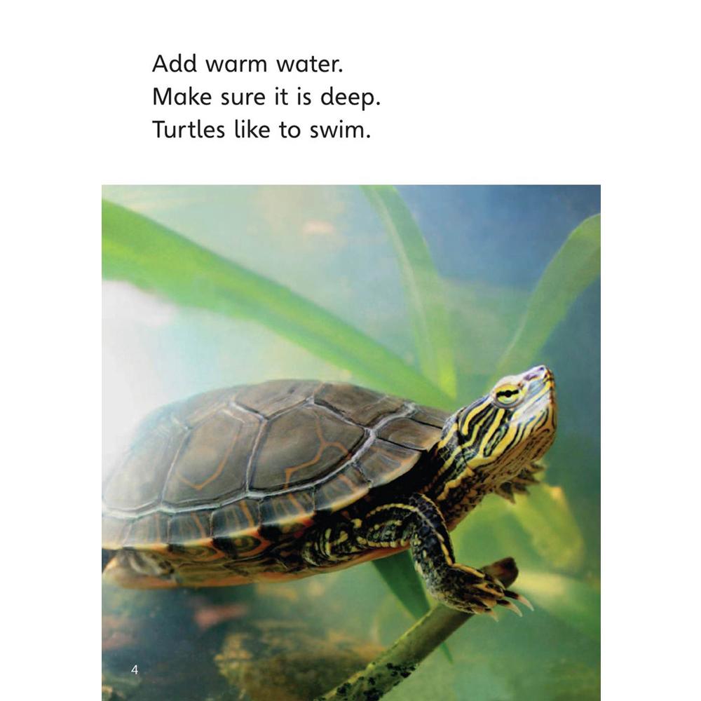 [Compass Reading Level 2-8] Caring for Your Turtle - Leveled Reader with Downloadable Audio Free - Sách chuẩn nhập khẩu từ NXB Compass