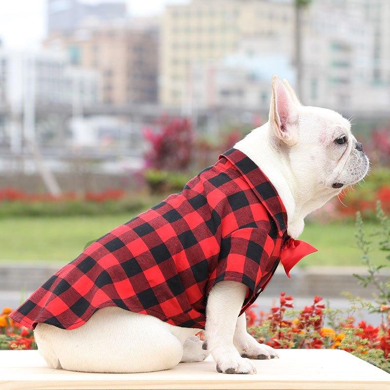 [Có Size 4XL] Áo sơ mi có nơ đi biển cho Chó Mèo , thời trang mùa hè dành cho cún cưng