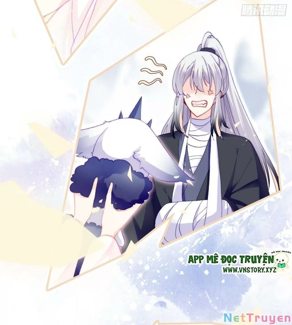 lại bị bệnh chiều chuộng quấn lấy chapter 55 10