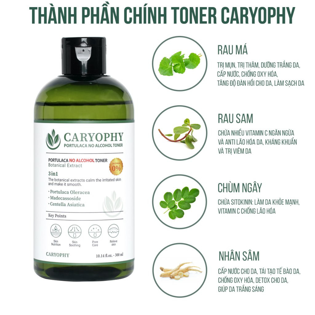 Combo 2 Sản Phẩm Hỗ Trợ Giảm Mụn Và Tẩy Da Chết Dịu Nhẹ Caryophy (Tẩy trang 500ml + Toner 300ml)