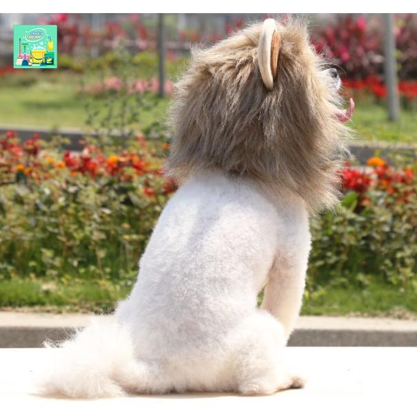 Mũ đội cho chó mèo cosplay sư tử. Nón hóa trang cho thú cưng siêu ngầu. Mũ giữ ấm thời trang cho thú cưng - VV362