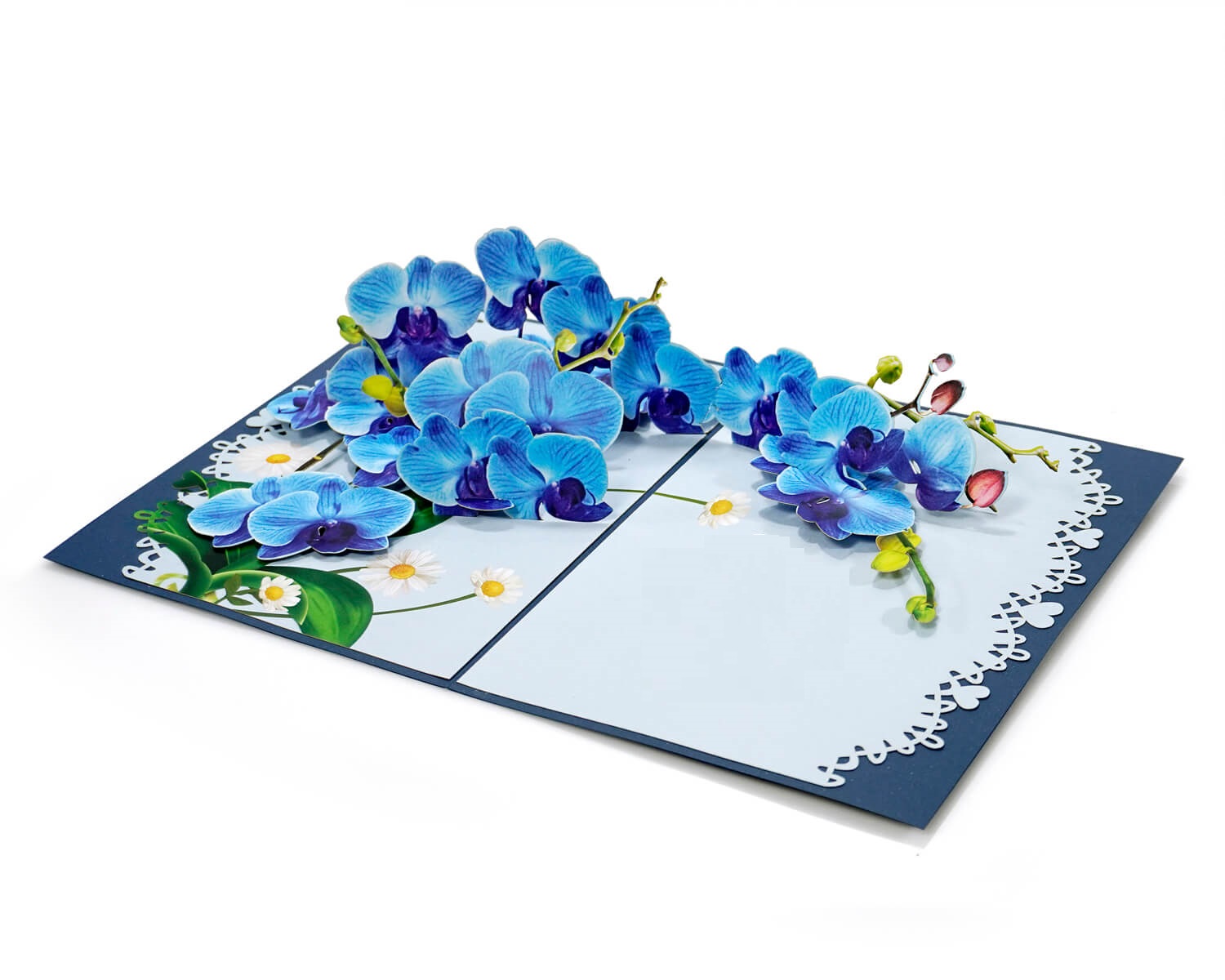 Thiệp 3D Pop Up Hoa Lan Xanh – Thiệp Hoa Nghệ Thuật, Thiệp Chúc Mừng, Sinh Nhật, Sang Trọng, F45