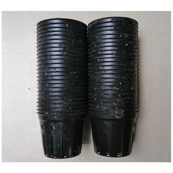 50 CHẬU NHỰA FI 12 TRỒNG LAN TRỒNG RAU ƯƠM MẦM