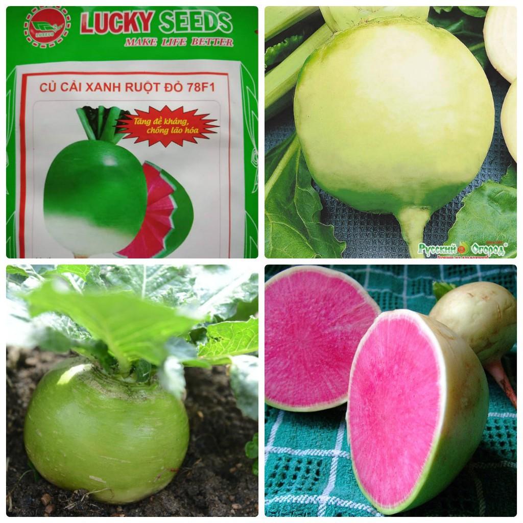 Hạt giống củ cải xanh ruột đỏ 2gram/gói
