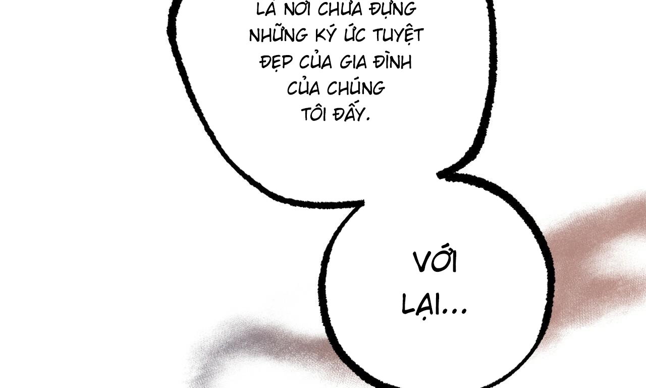 những chú thỏ của hapypy chapter 51 257