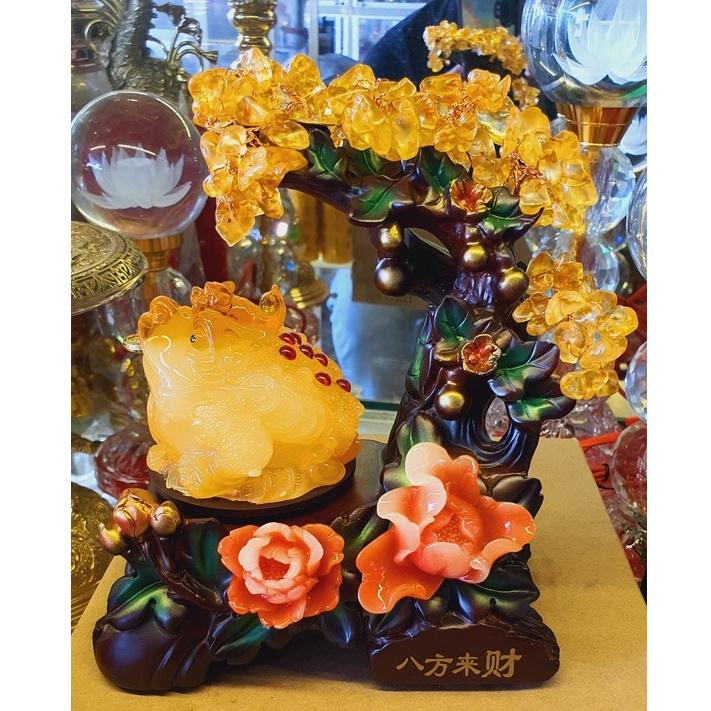 Cóc phong thủy + cây tài lộc 3 cỡ cao 17cm, 23cm