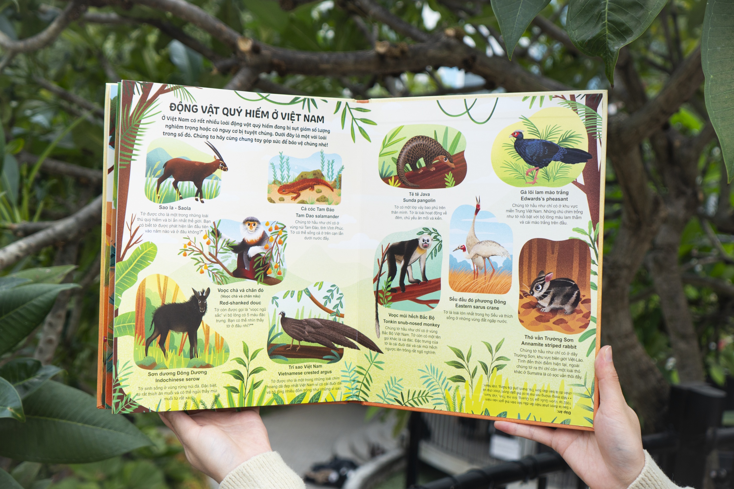 Cuốn sách khổng lồ về động vật hoang dã - Big book of wild animals - Đinh Tị Books