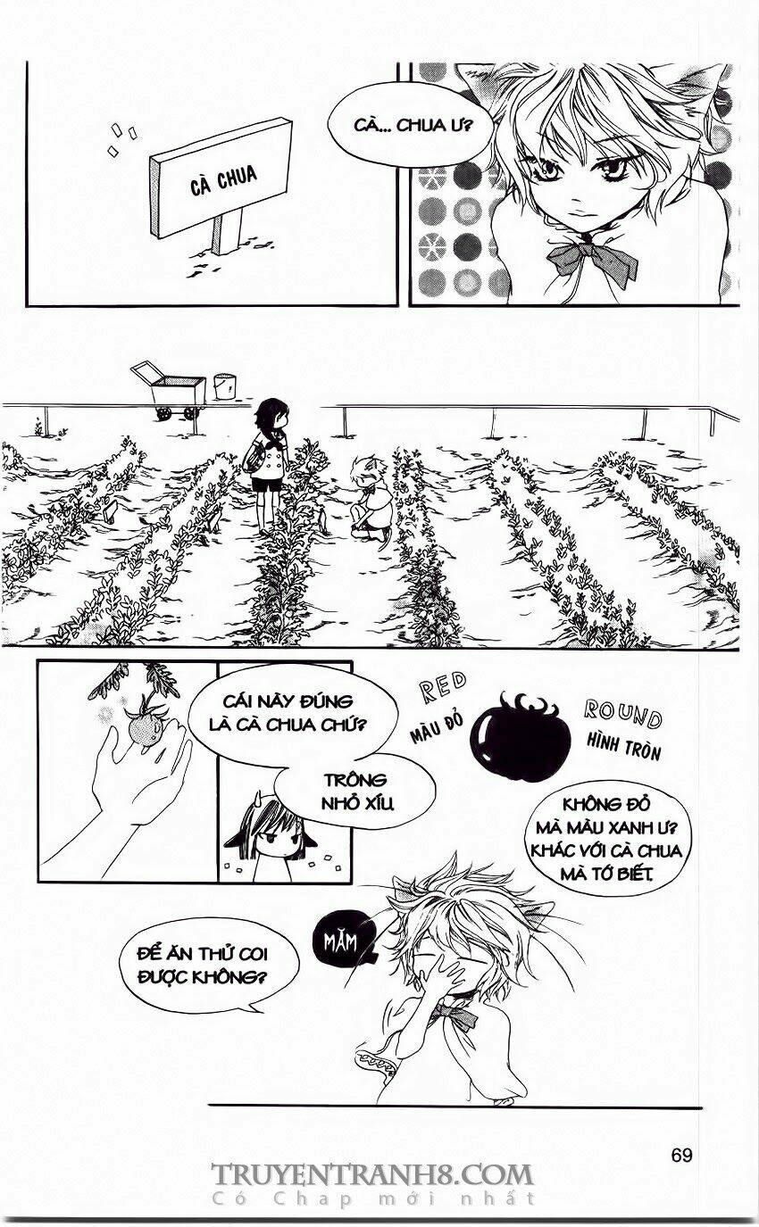 những ngày tươi đẹp chapter 20 5