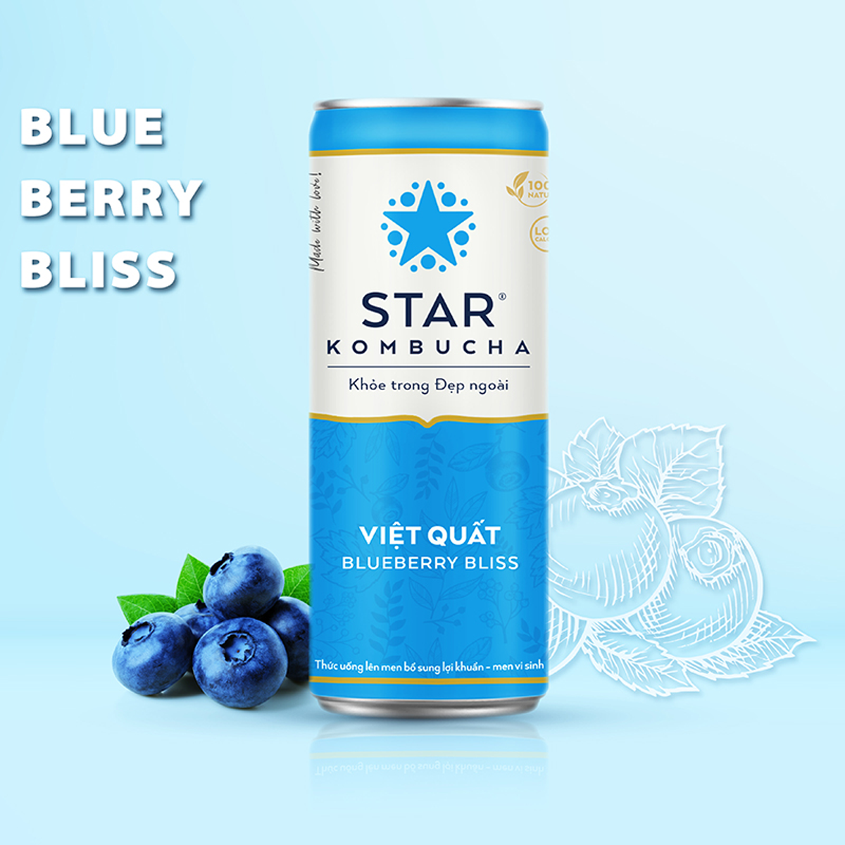 Lốc 6 lon thức uống lên men STAR KOMBUCHA Việt Quất / Blueberry Bliss (250ml/lon)