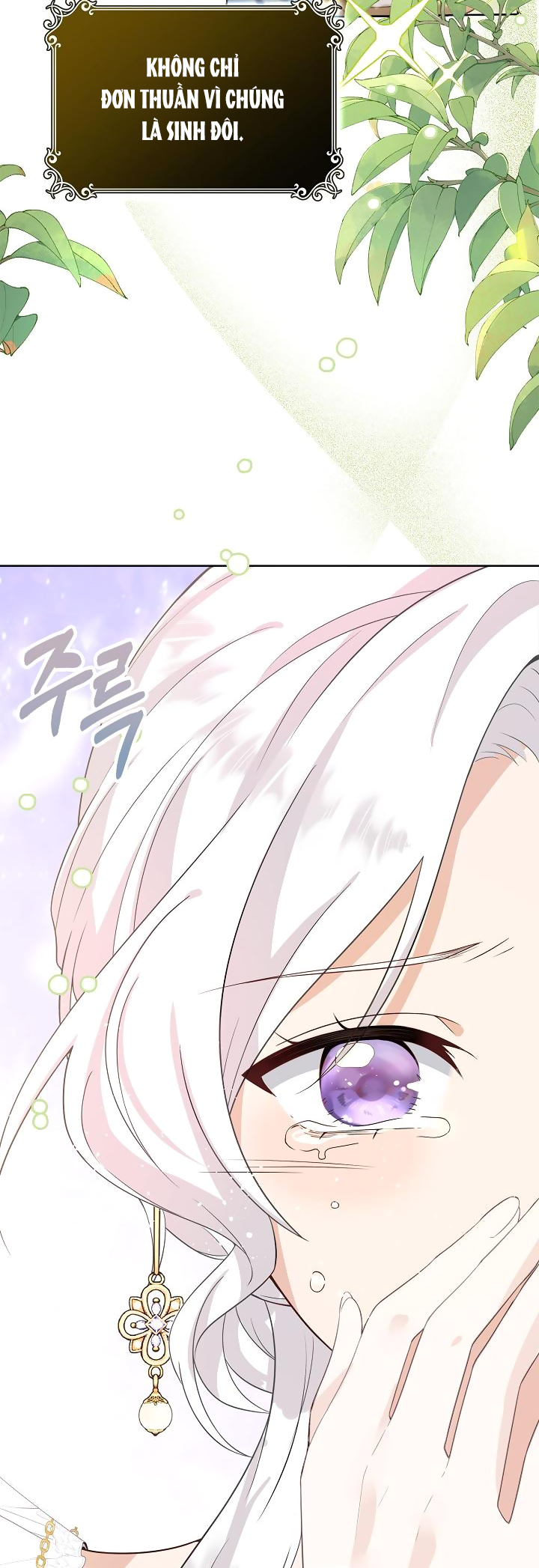 tôi sẽ nuôi dưỡng hai đứa con của nam chính chapter 2 26