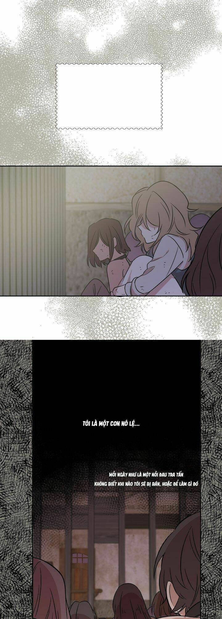 tôi chọn kết thúc của hoàng đế chapter 0 1