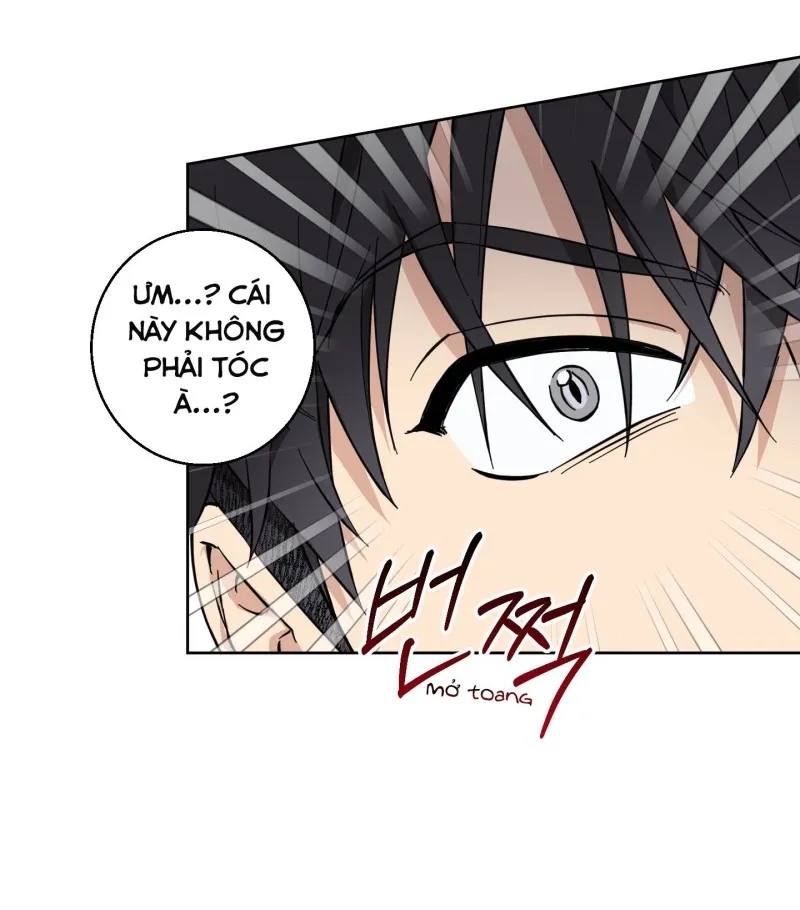 hãy bảo vệ tình yêu thuần khiết! chapter 10 62