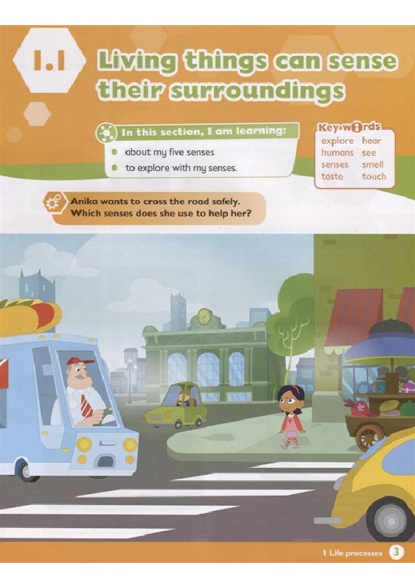 Sách ngoại văn: Max Science Primary Grade 3 Student's Book