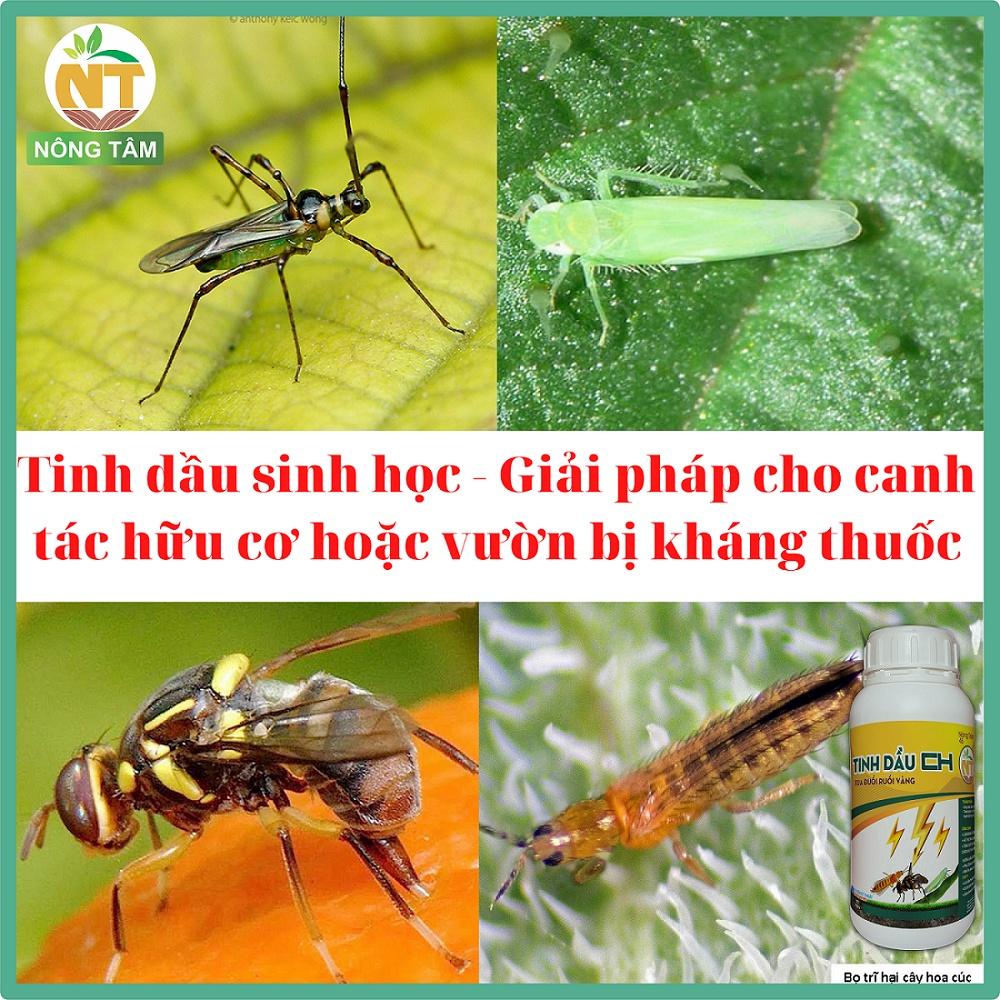 Chế phẩm sinh học xua đuổi ruồi vàng, ngài và côn trùng chích hút trên cây ăn trái, rau màu, chai 1000ml