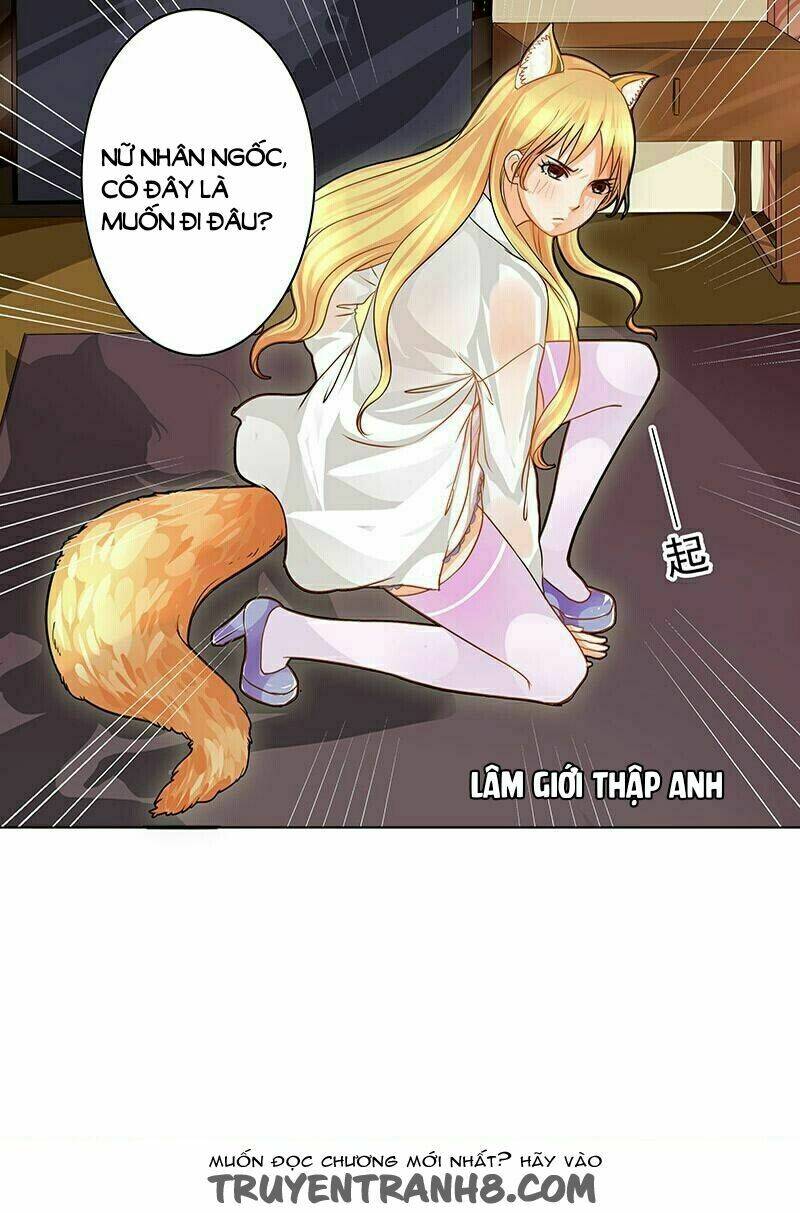 kiều thê xuất xưởng bất hợp cách chapter 3 19