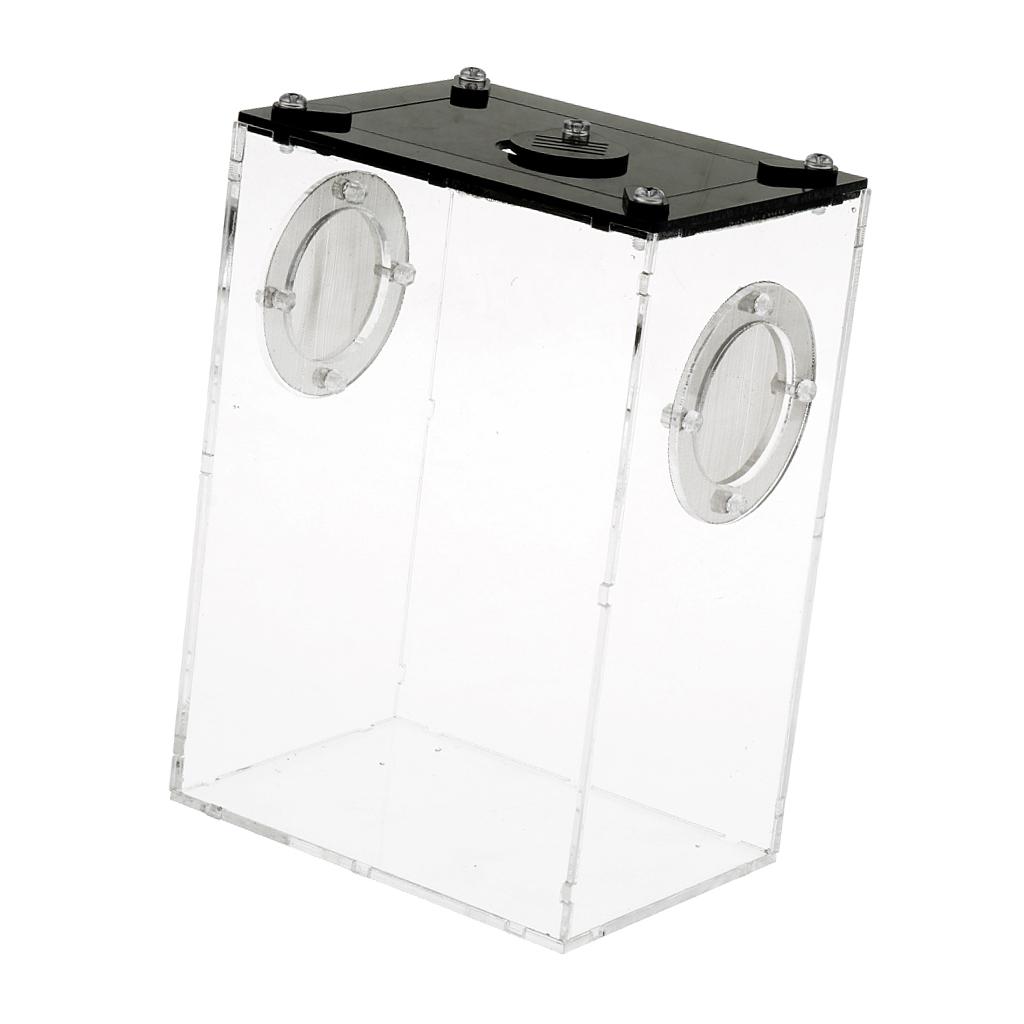 Reptiles Feeding Container Snake Insect Frog Breeding Tank Box Case