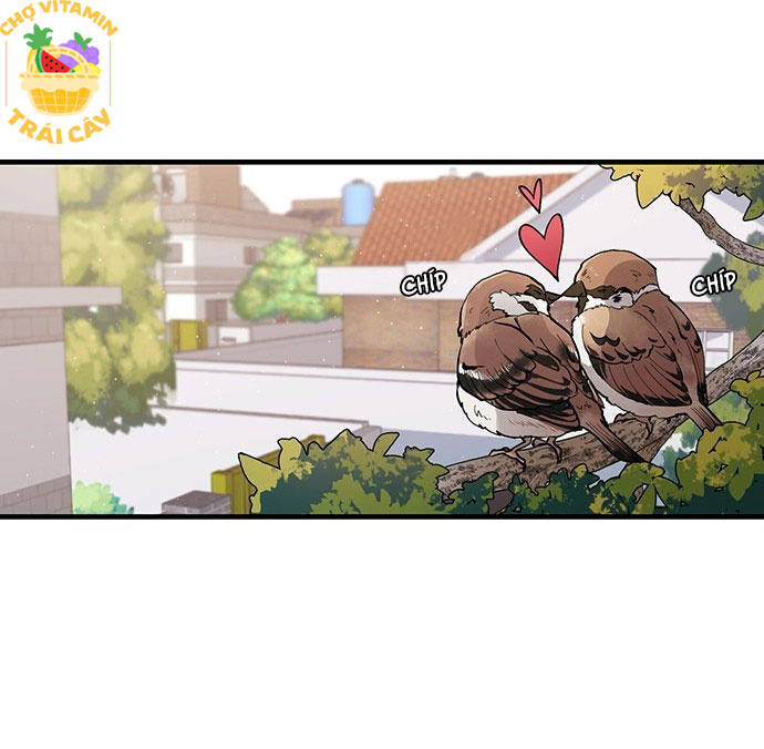 oan gia ngõ hẹp chapter 1 1