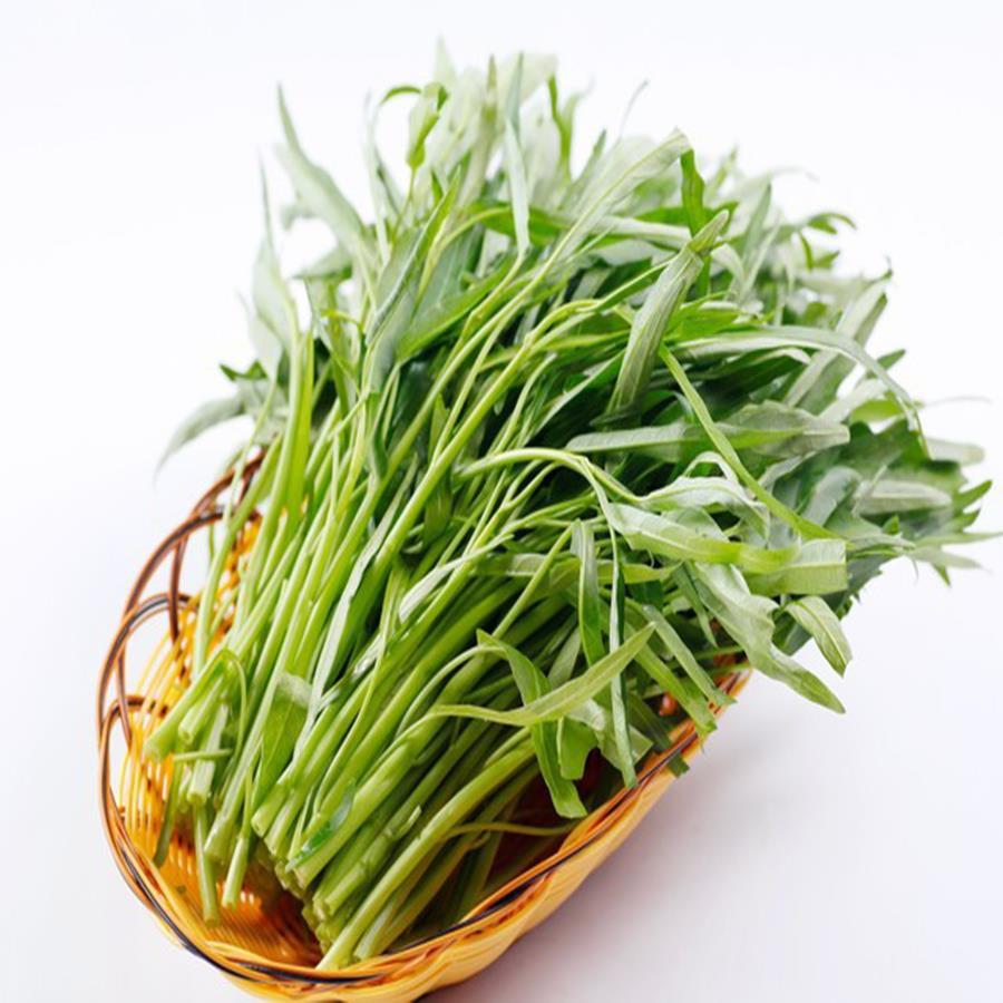Hạt Giống Rau Muống Lá Tre Thái Lan Gói 40 Gam