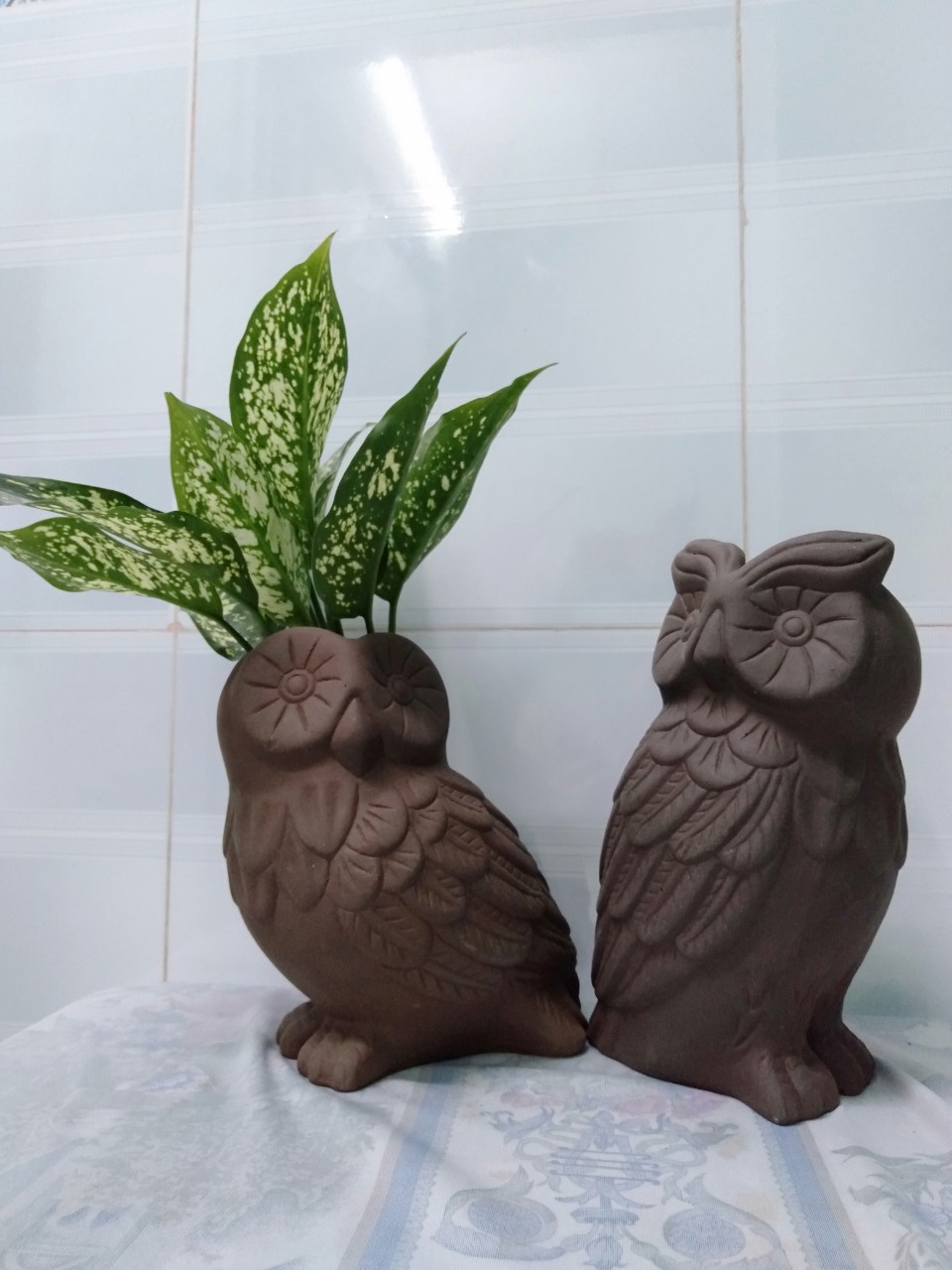 Chậu đất nung hình cú