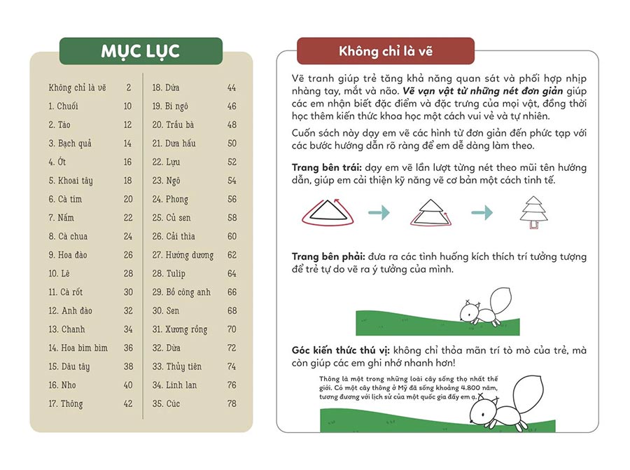 Sách VẼ VẠN VẬT TỪ NHỮNG NÉT ĐƠN GIẢN - Vẽ cỏ cây hoa lá