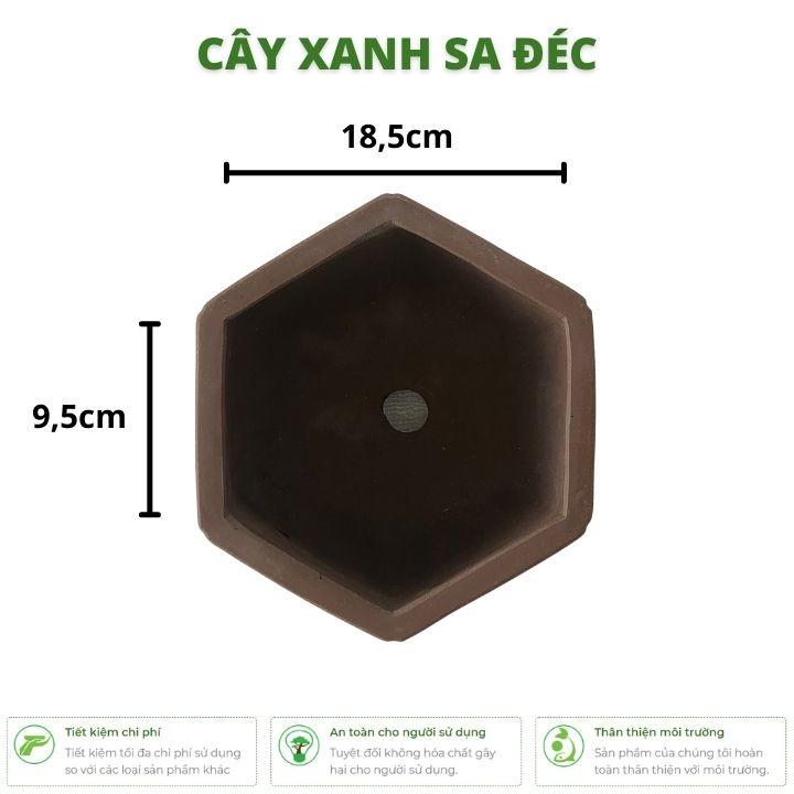 Chậu lục giác mini đáy bầu cạn hoa văn chữ tàu CK13 để trồng cây nhỏ