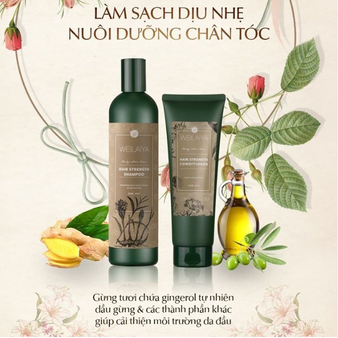 Dầu gội xả gừng hà thủ ô Weilaiya Streghth Shampoo dành cho tóc khô xơ  kích mọc tóc chai 400ml (tem nâu)