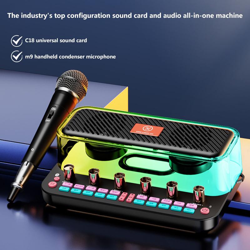 Loa bluetooth gợi cảm thiết bị phát sóng trực tiếp điện thoại di động máy tính trong nhà và ngoài trời Bluetooth ghi âm karaoke speake Màu sắc: card âm thanh đơn sắc