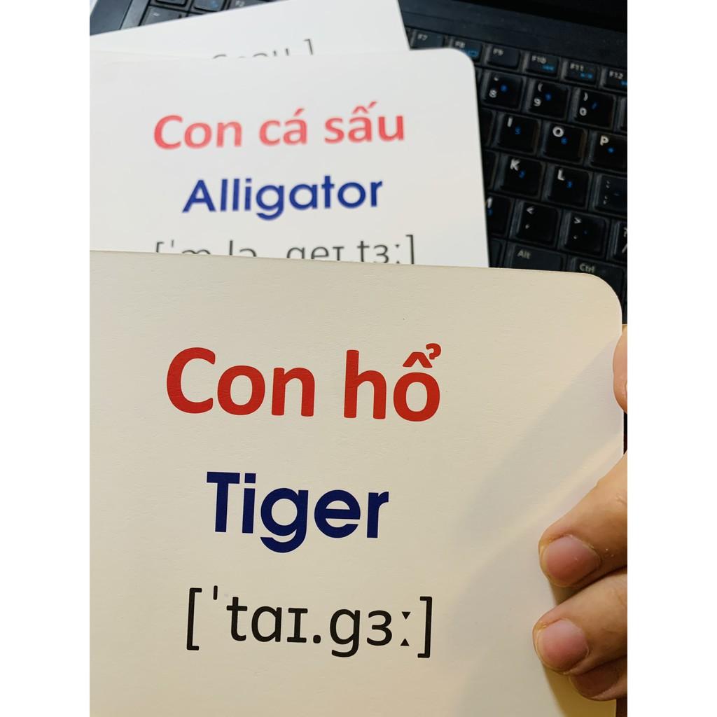 Bộ Thẻ  Học Flashcard Thông Minh Cho Bé 19 Chủ Đề Loại Lớn - Hàng Việt Nam Cao Cấp Chính hãng Amalife