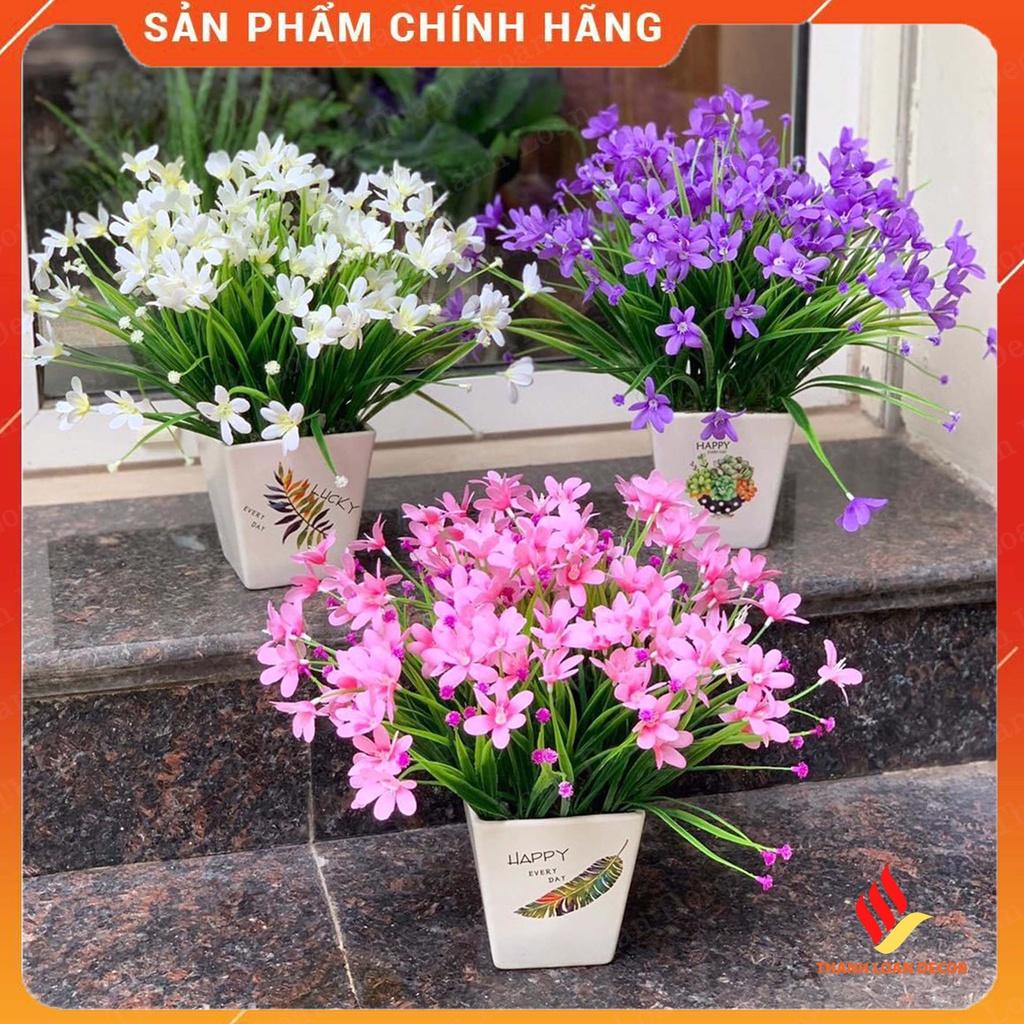 Hoa giả - Cỏ thủy tiên đẹp - Lọ gốm Bát Tràng decor trang trí chụp ảnh nghệ thuật