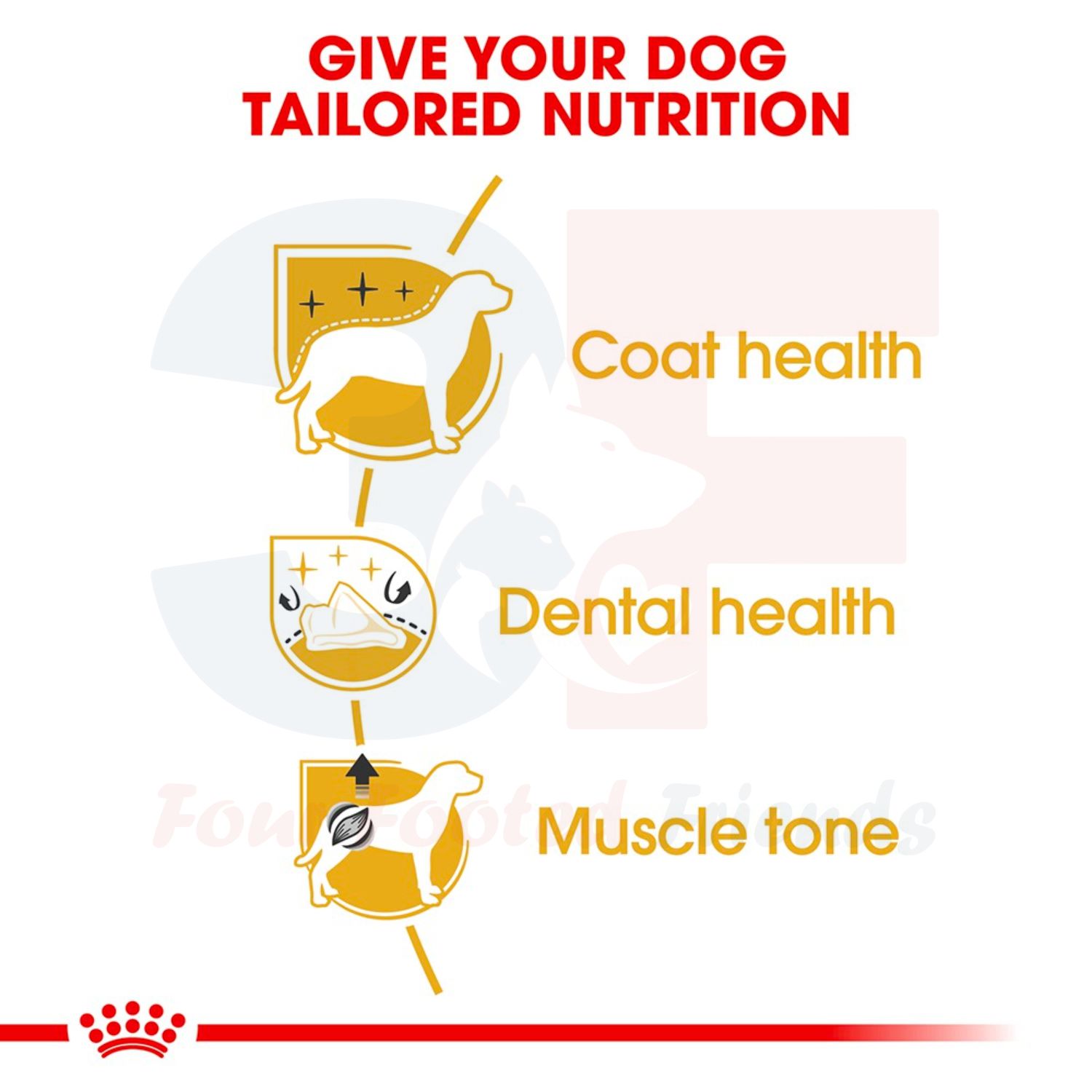 Thức Ăn Hạt Cho Chó Pooldle Trưởng Thành Royal Canin Poodle Adult