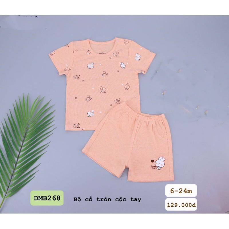 Bộ cổ tròn cộc tay DMB268
