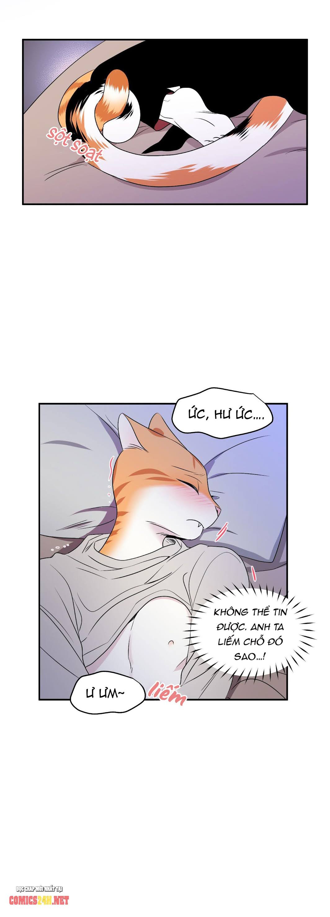 dự án xanh chapter 2 6