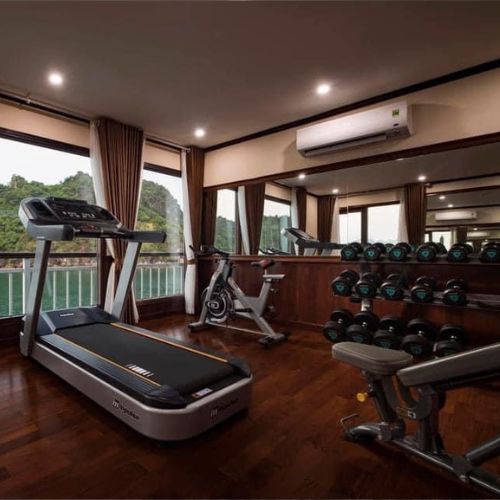 Voucher 2N1Đ Ngủ Đêm Trên Du Thuyền 5 Sao Dora Cruises Sang Trọng