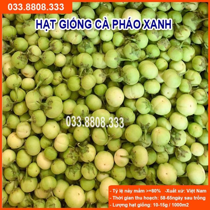 Hạt Giống Cà Pháo Xanh - Quả To Đẹp