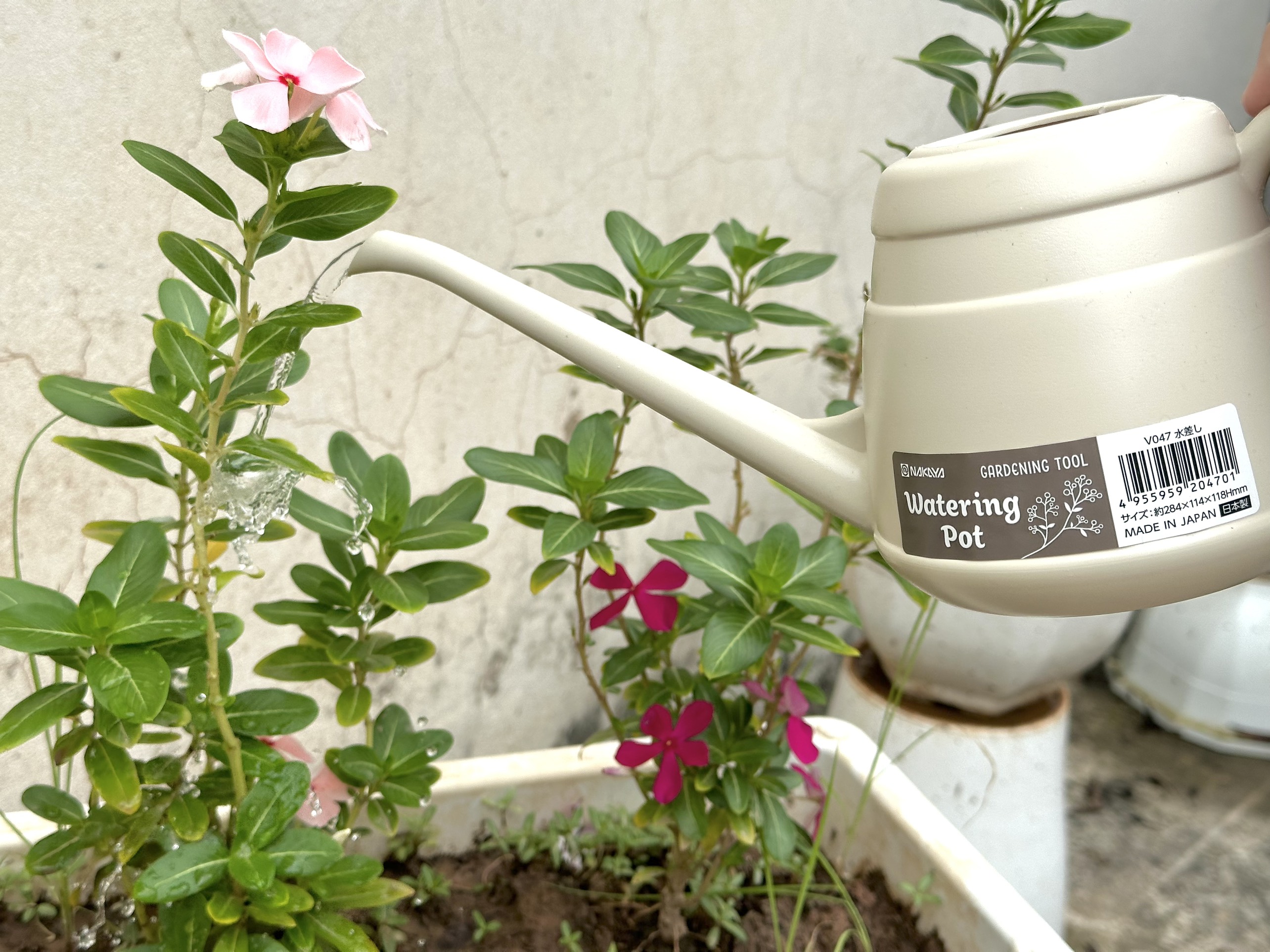Bình tưới cây Nakaya Waterring Pot 850ml - Hàng nội địa Nhật Bản nhập khẩu chính hãng
