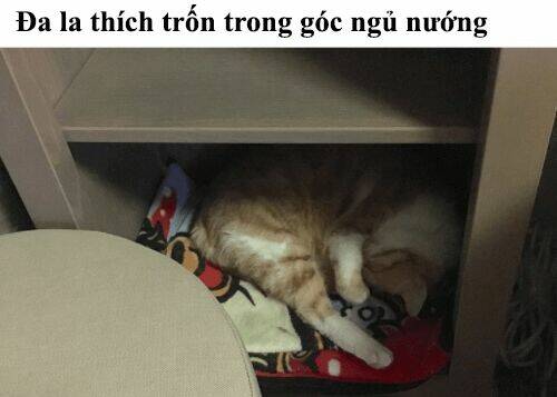 đại thánh và tiểu yêu chapter 50 26