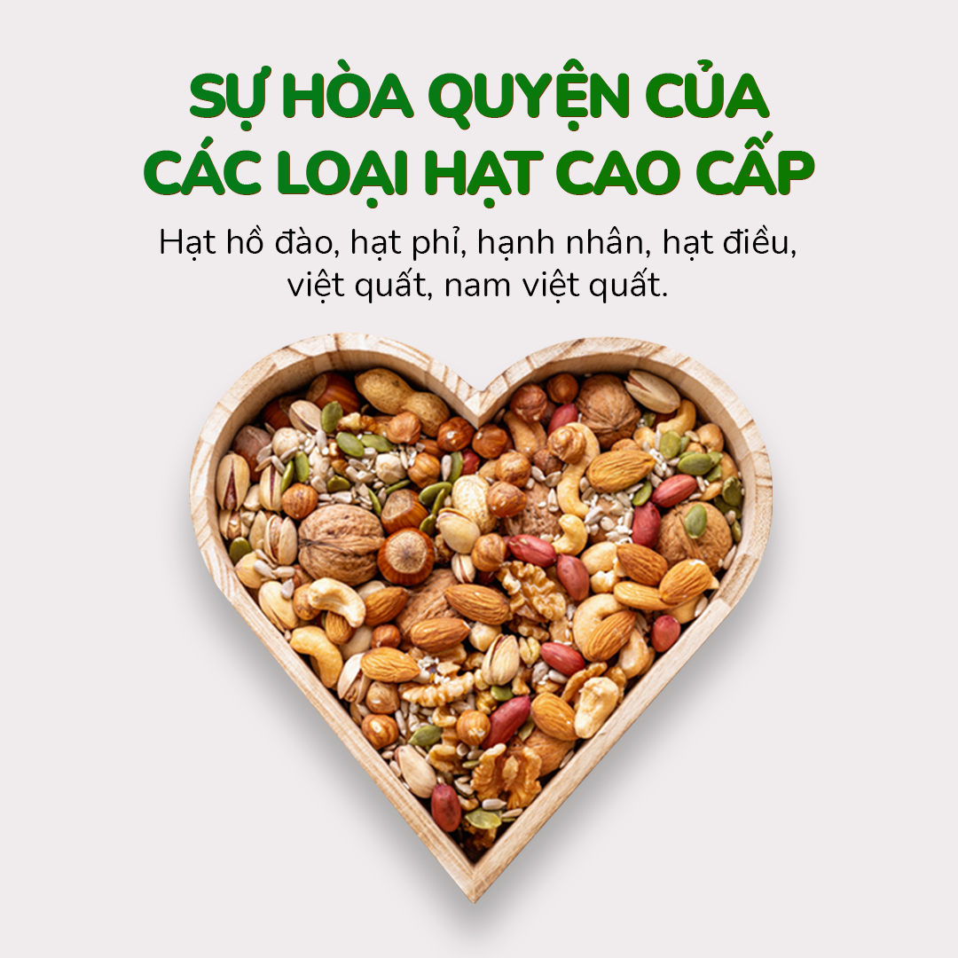 HẠT DINH DƯỠNG HỖN HỢP DAILY NUT 25gr x 20 DAN D PAK xuất khẩu Đài loan, sản phẩm là sự hòa quyện của các loại hạt cao cấp