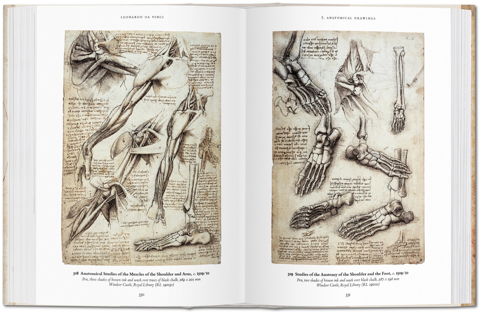 Artbook - Sách Tiếng Anh - Leonardo Da Vinci: The Complete Drawings