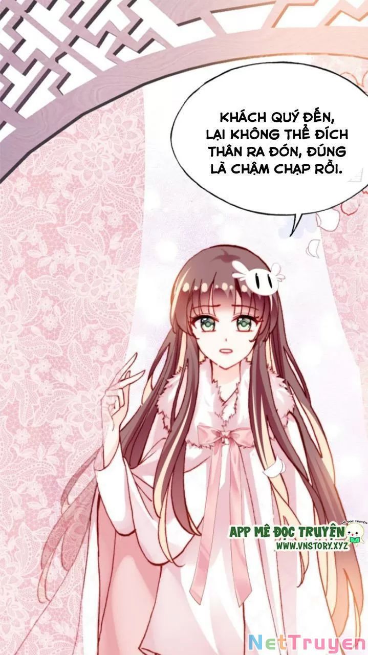 lại bị bệnh chiều chuộng quấn lấy chapter 29 11